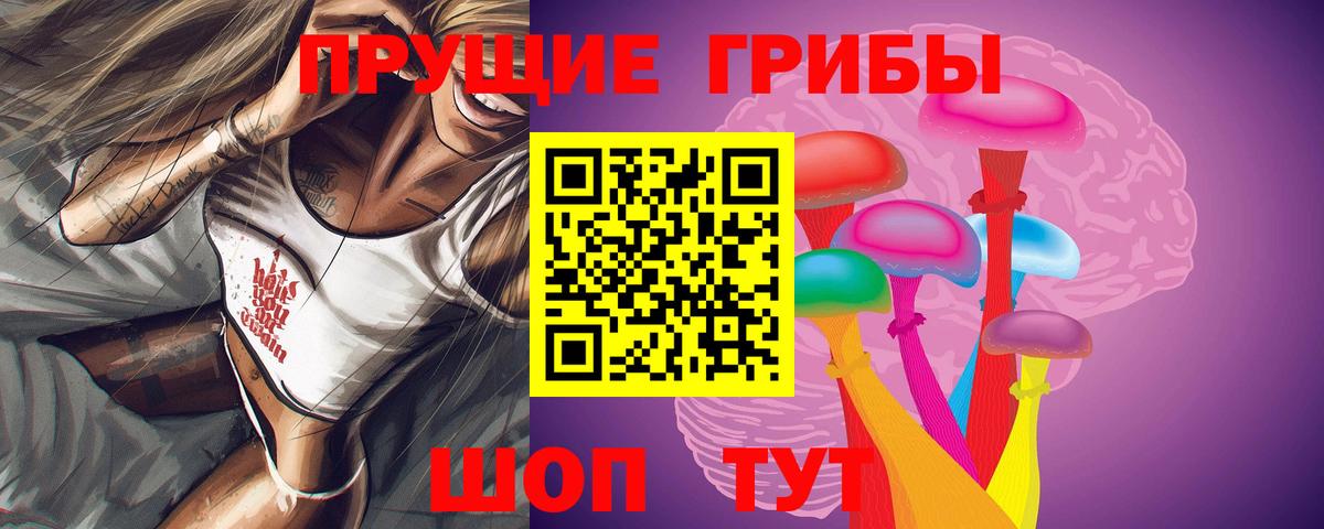 Галлюциногенные грибы Psilocybine cubensis  Псилоцибиновые грибы мицелий  Шадринск  Вход с VPN 