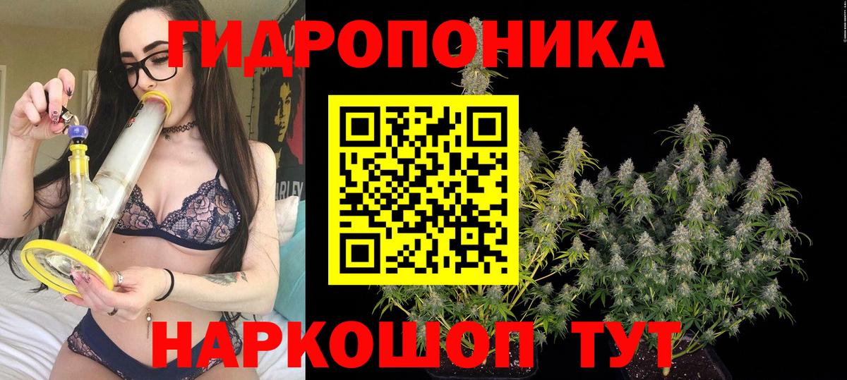 Шишки марихуана марихуана Шадринск